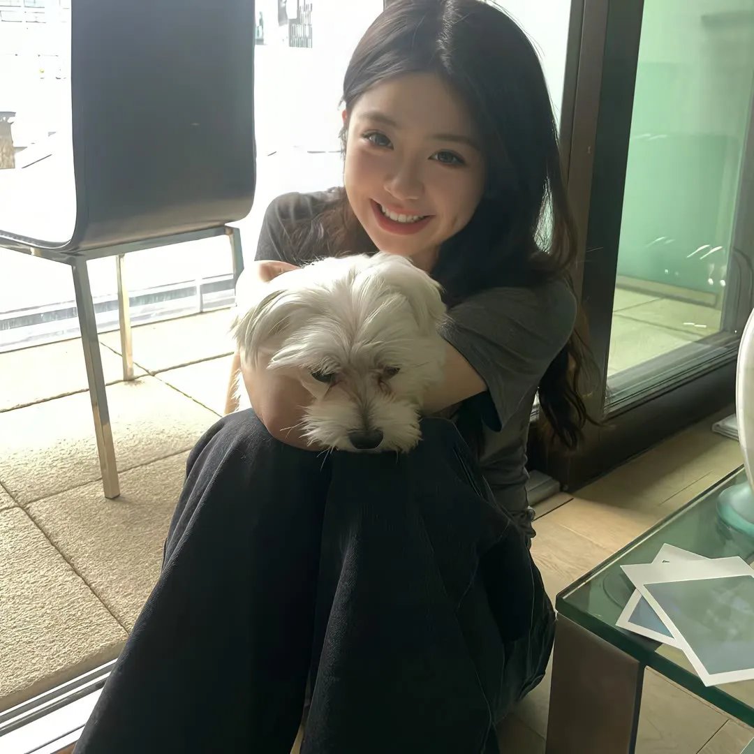 鲨鱼的儿子